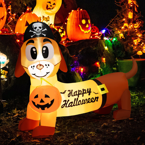 The Holiday Aisle® Dachshund Blowup Dog With Pirate Hat and Pumpkin